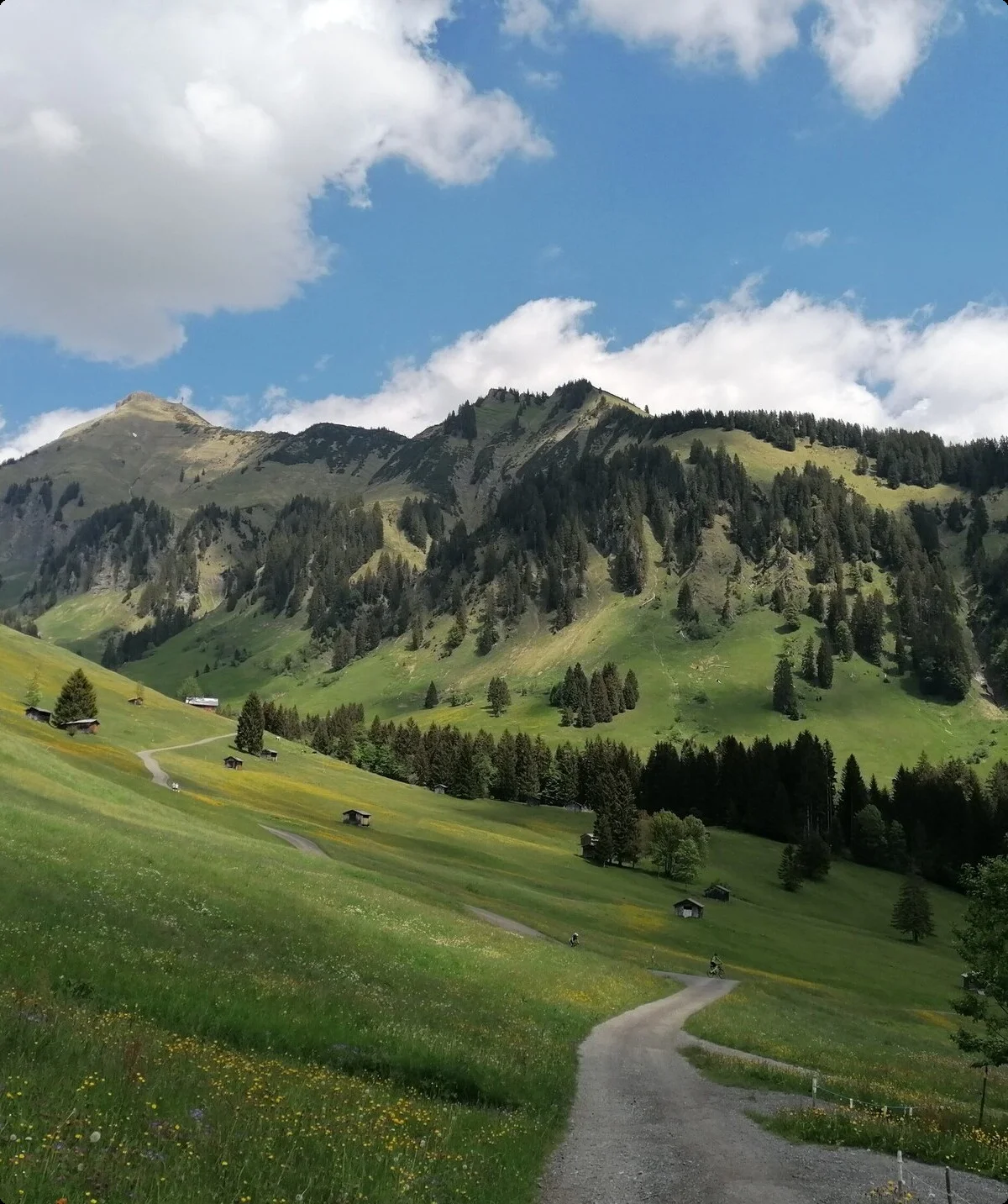 © Nadine Lerho Bregenzerwald Tourismus