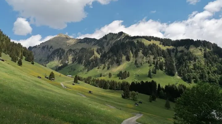 © Nadine Lerho Bregenzerwald Tourismus