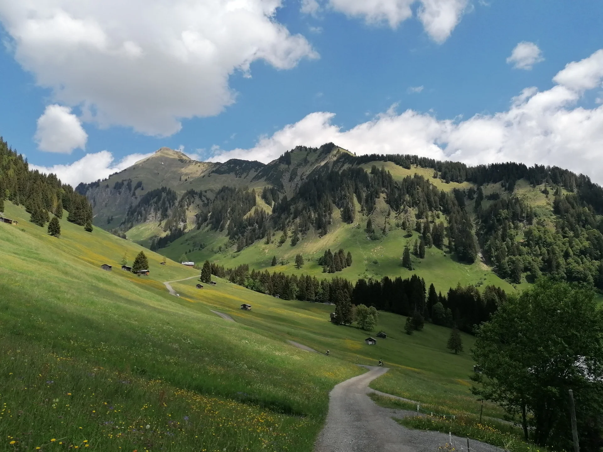 © Nadine Lerho Bregenzerwald Tourismus