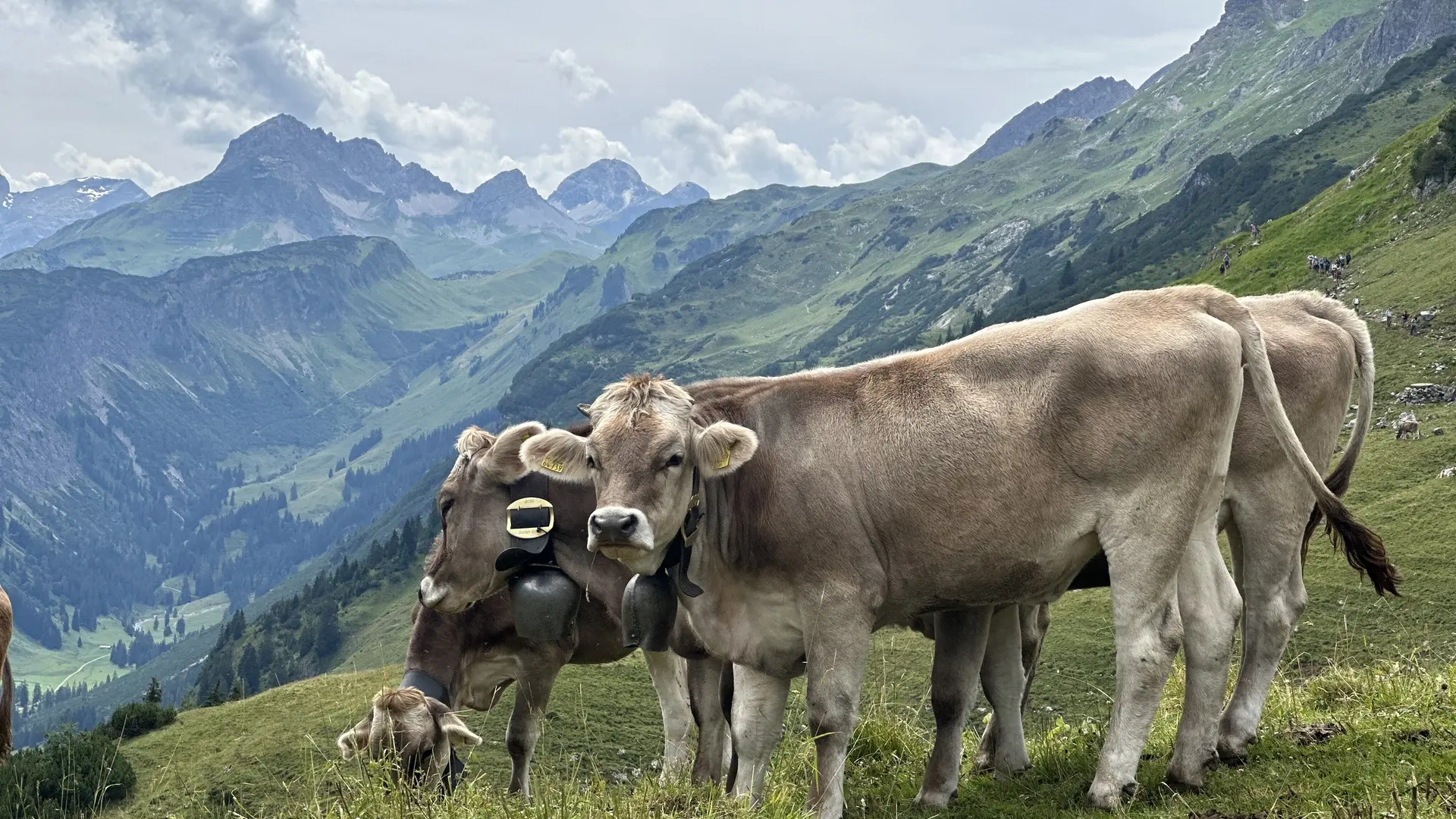 © DAV Landsberg