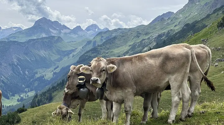 © DAV Landsberg