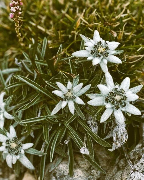 © Archiv DAV Landsberg © Archiv DAV Landsberg