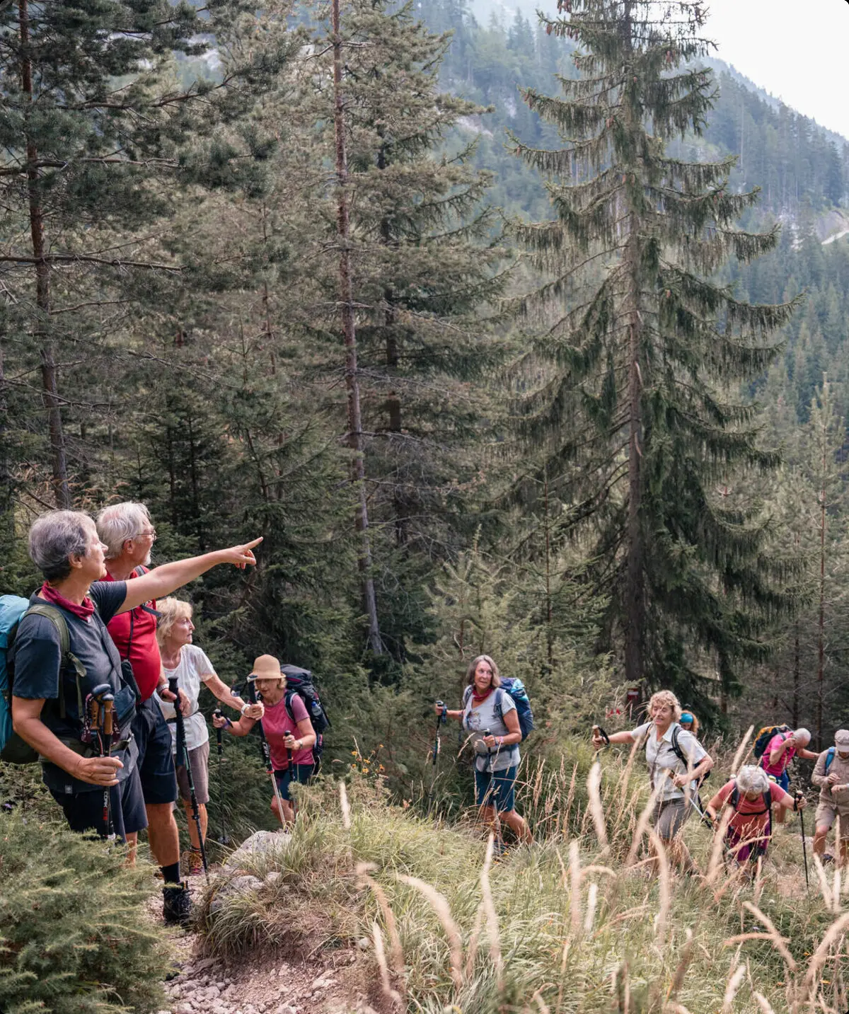 Seniorenwandergruppe in den Bergen | © DAV / Marisa Koch