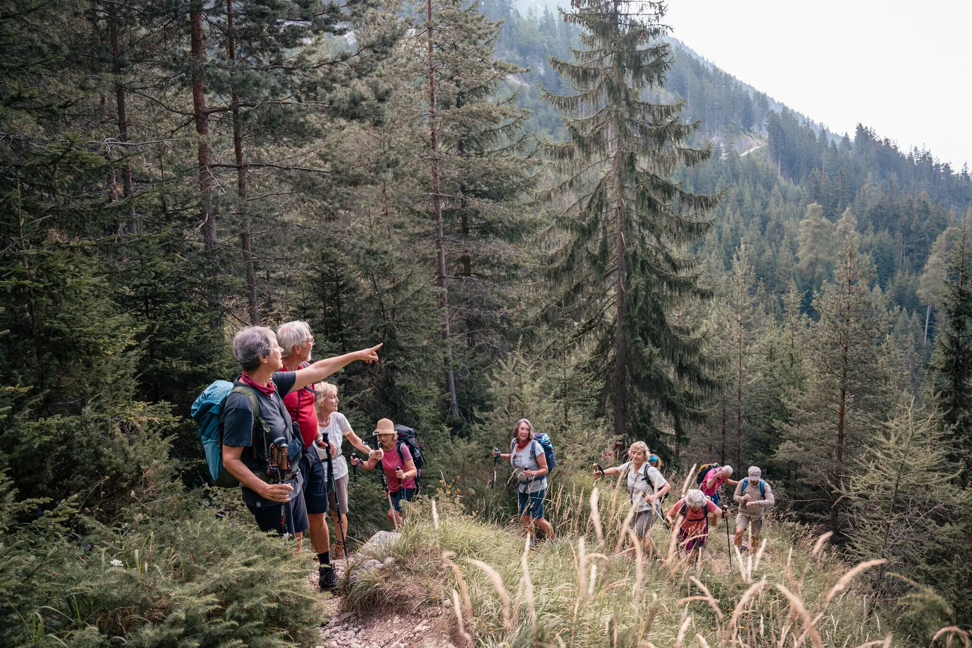 Seniorenwandergruppe in den Bergen | © DAV / Marisa Koch